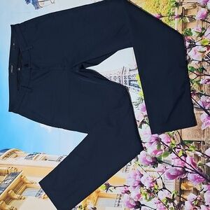 Proof Slim Fit Navy Blue Pants Size 31